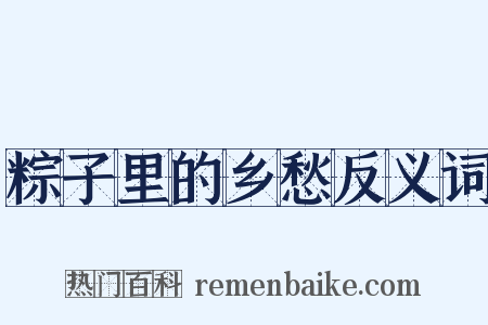 粽子里的乡愁反义词是什么意思的图片